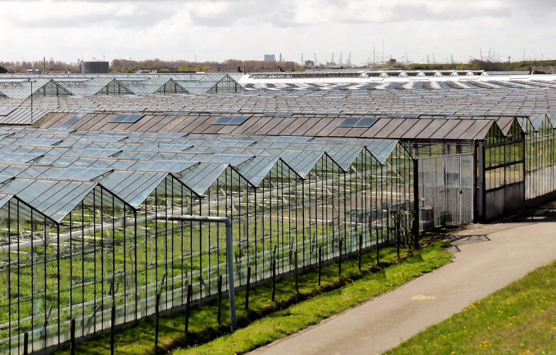 Data delen gaat om vertrouwen (interview Buitenstebinnen)